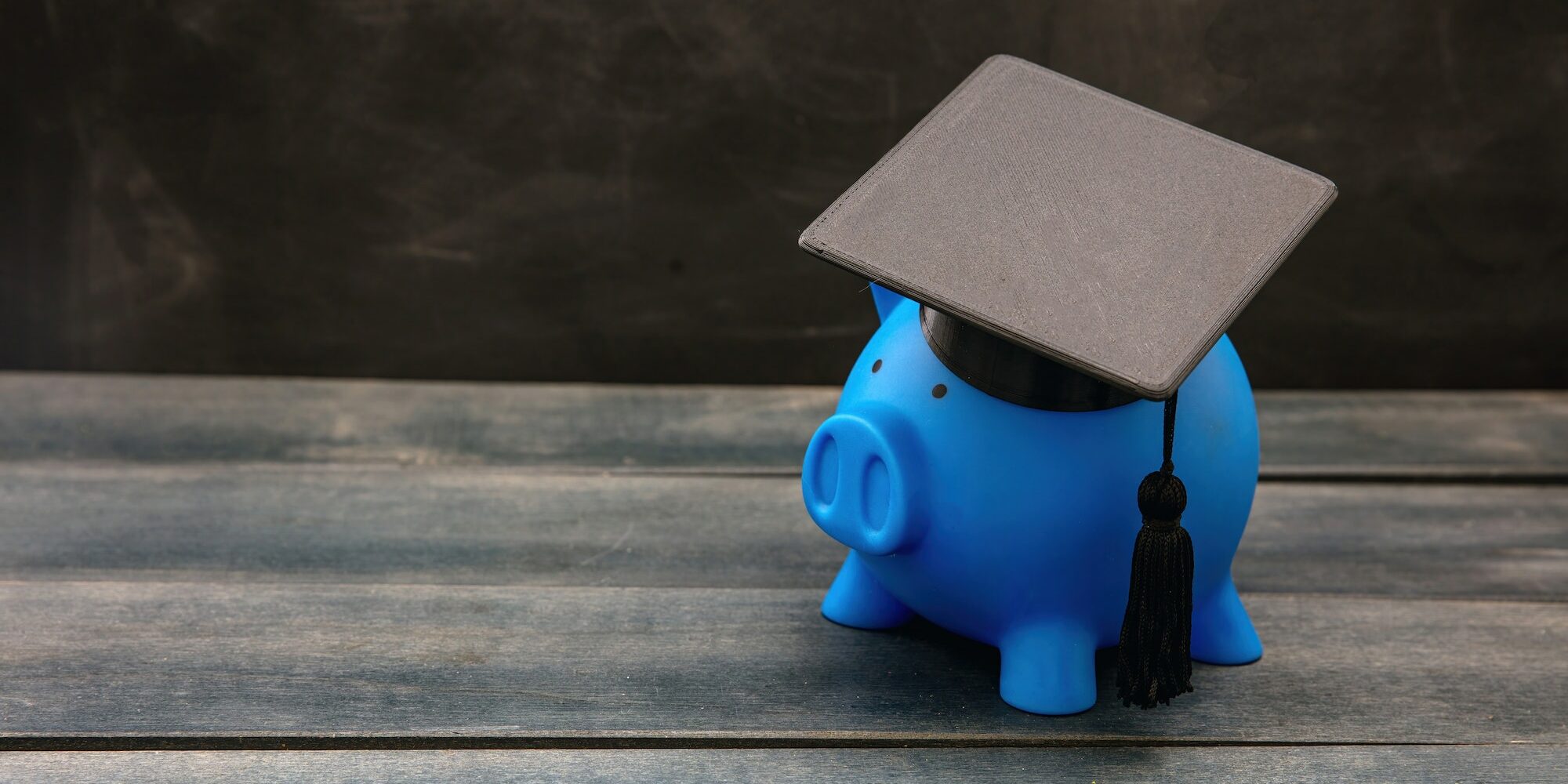 Education school cost, scholarship, student loan. Piggy bank with graduation cap