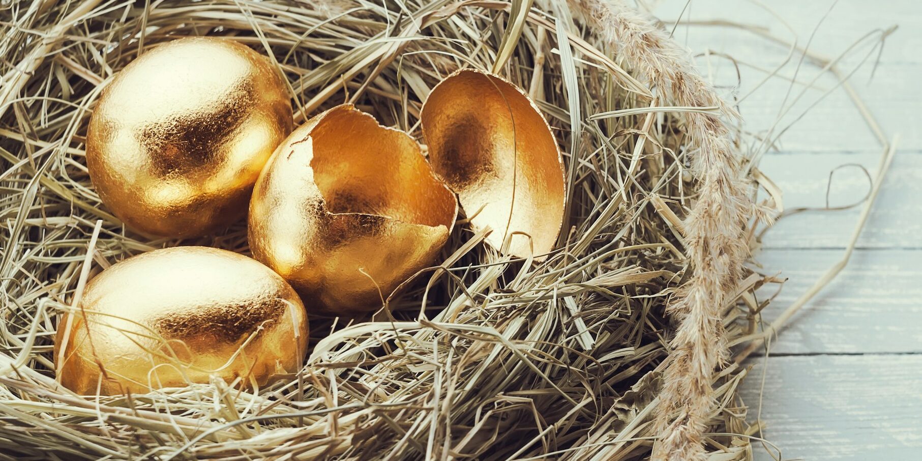 Golden eggs in the nest, one broken egg