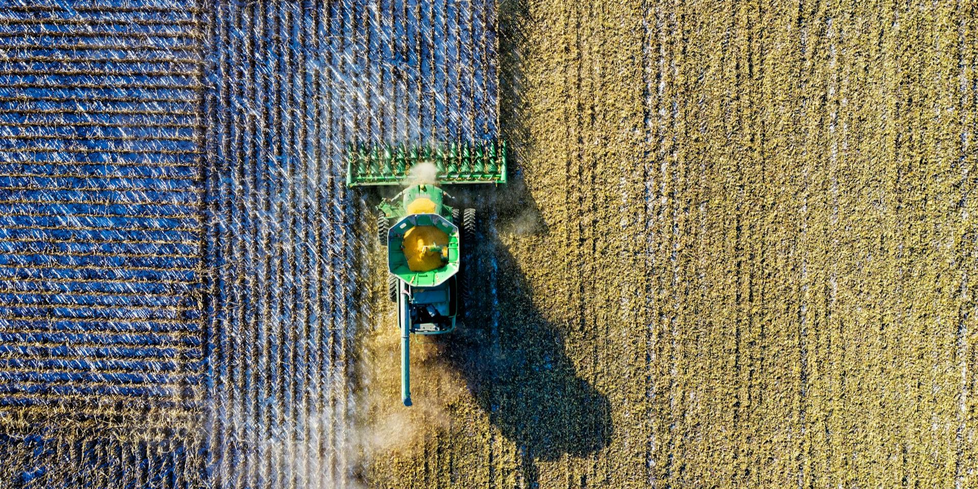 Landbouw - pexels-tomfisk-1595108