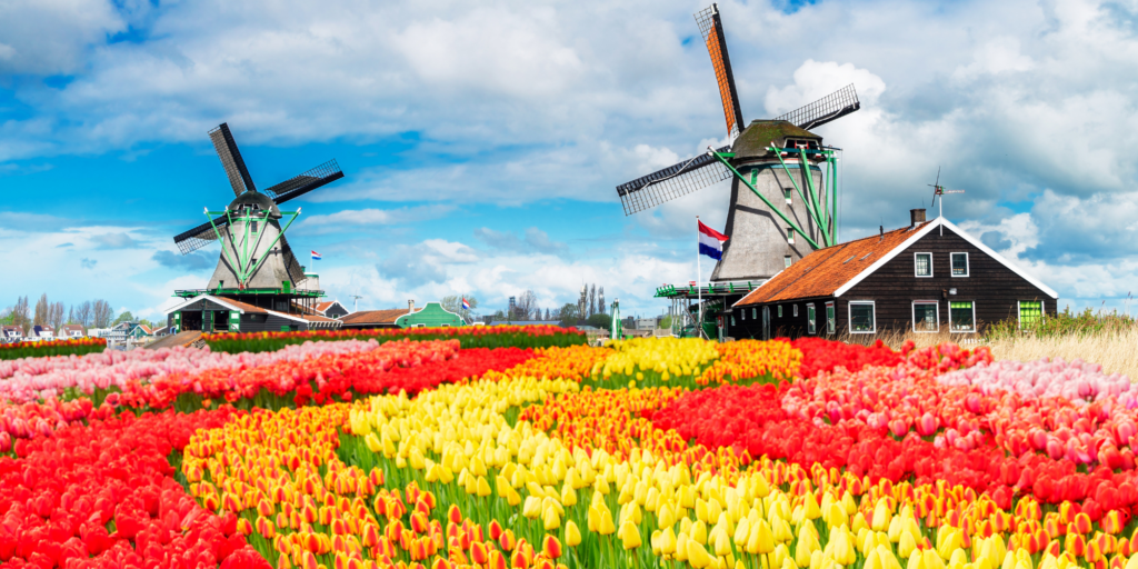 Nederland - Canva