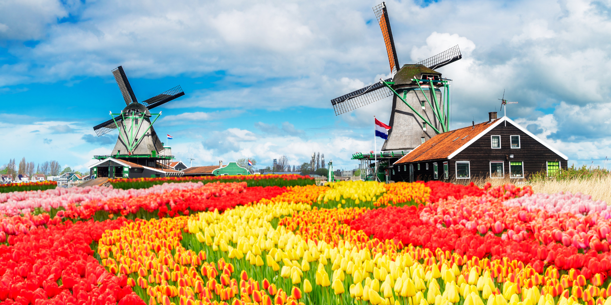 Nederland - Canva